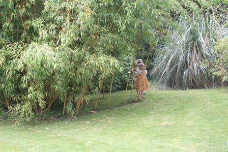 Eetbare bamboe alspseelhoekje